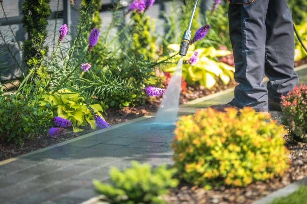 Best Post-Construction Pressure Washing  in Sutter, CA